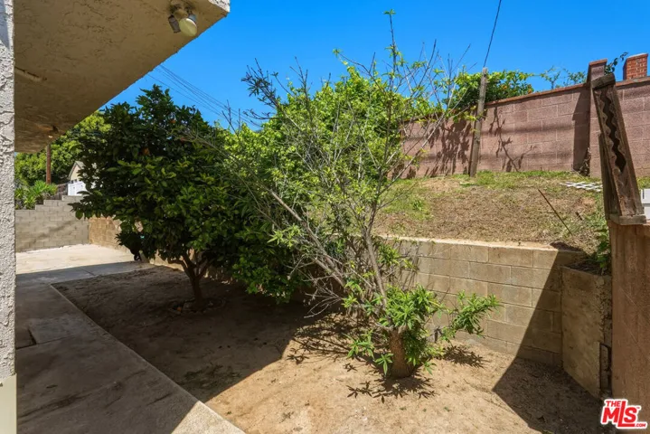 Backyard Area