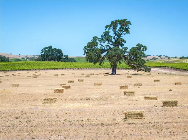 5275 Camp 8 Road, Paso Robles, California 93446 — photo 5