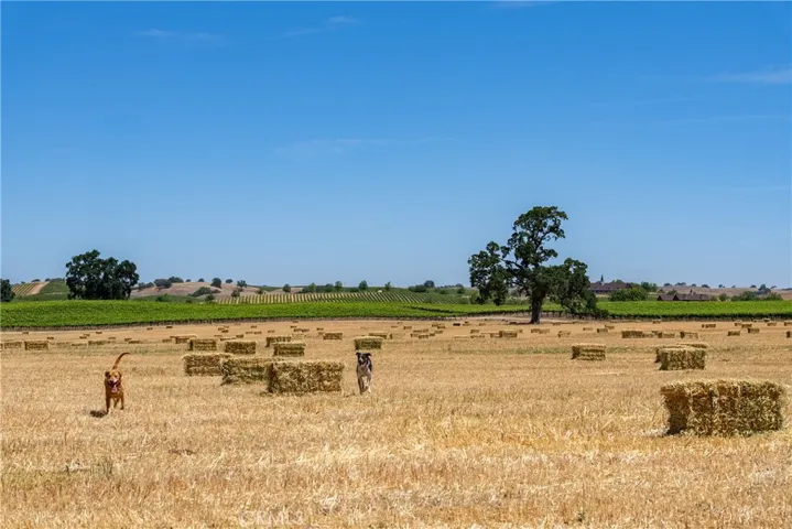 5275 Camp 8 Road, Paso Robles, California 93446 — photo 4