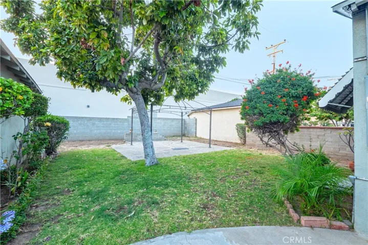 view to the back yard from house