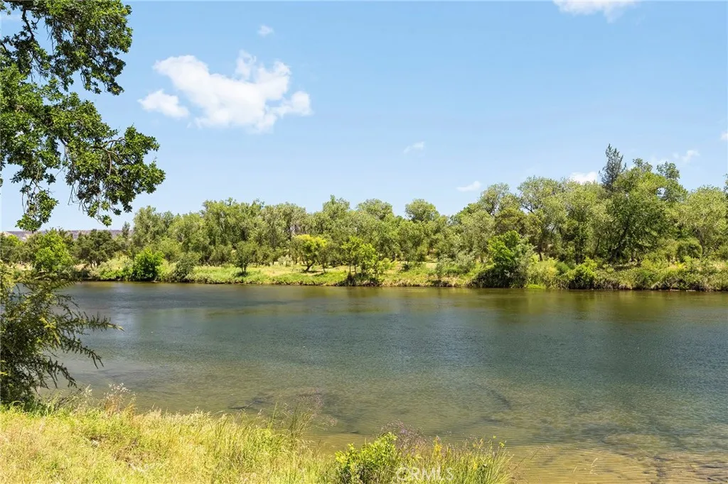 River from bank