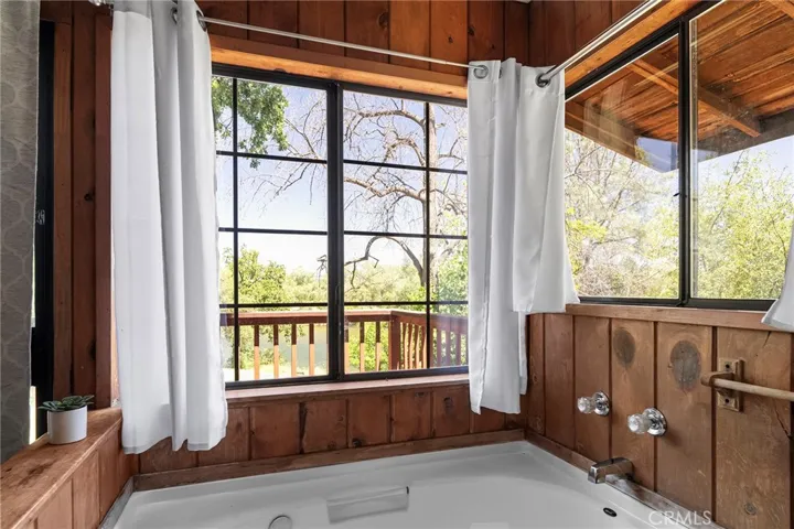 View from Loft Bathtub