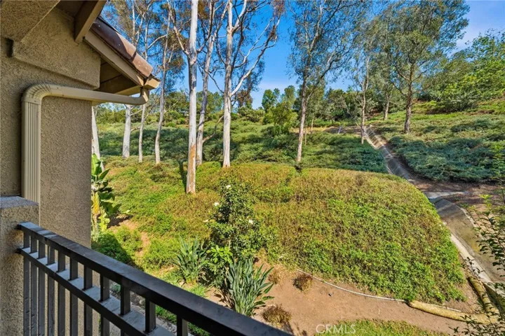 View from the front Patio