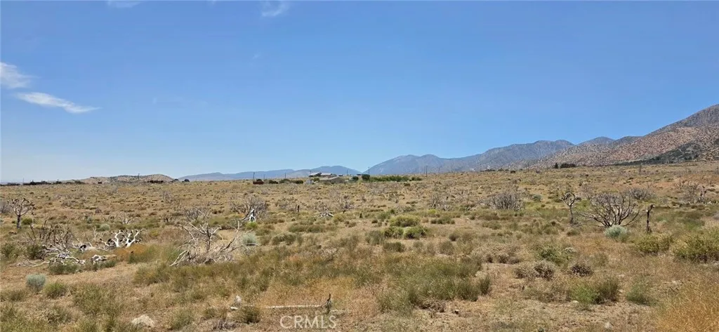 looking east towards parcel at the corner of 101st & Avenue Z4.  660'