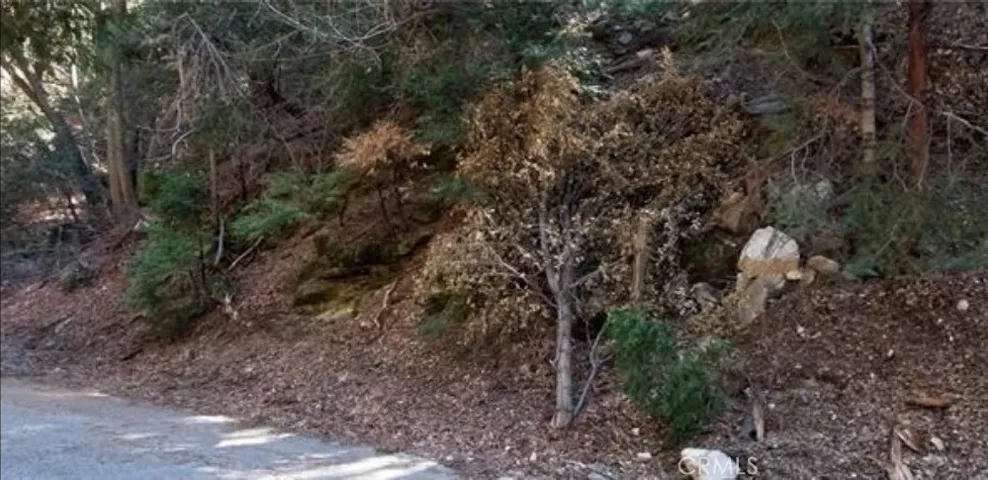 front of lot