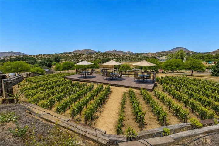 Viewing/entertainment deck with Vineyard ready area's utilizing private well water.
Photo has been virtually created for visual purposes & idea's only.