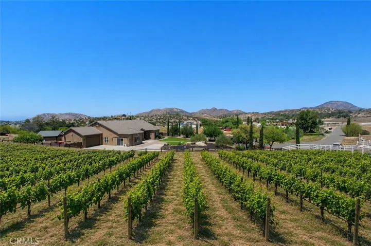 Great area for Vineyard with the benefit of private Well water serving the property with New motor & Well pump. 
Vineyard has been virtually created for visual purposes & idea's only.