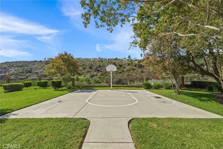 Basketball Court