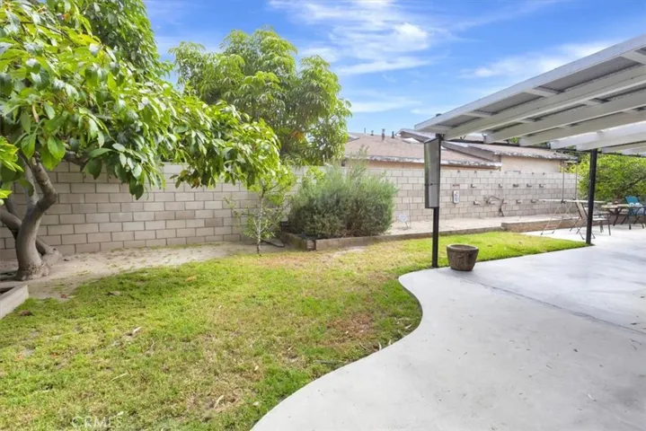 Avocado and citrus trees, lawn and raised beds cleared for their new chapter of planting.
Mature avocado tree produces creamy delicious avocados!