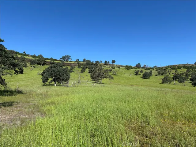 Lower Property and Views