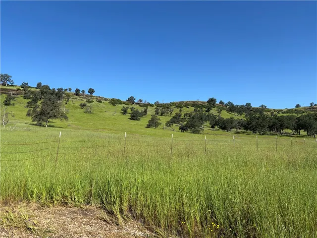 Lower Fence line of Property
