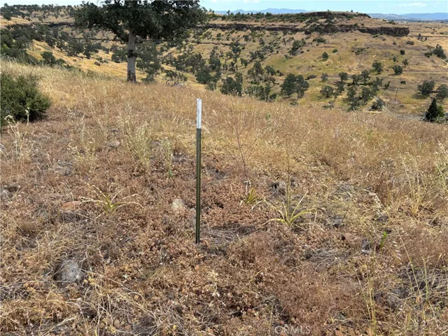 Stake at top of the Bluff