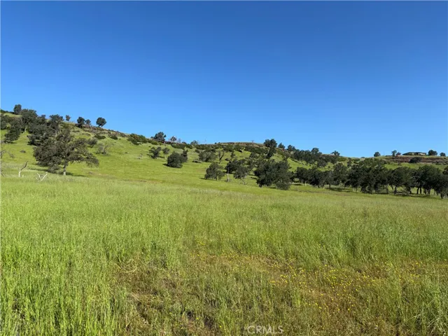 Lower Property and Views