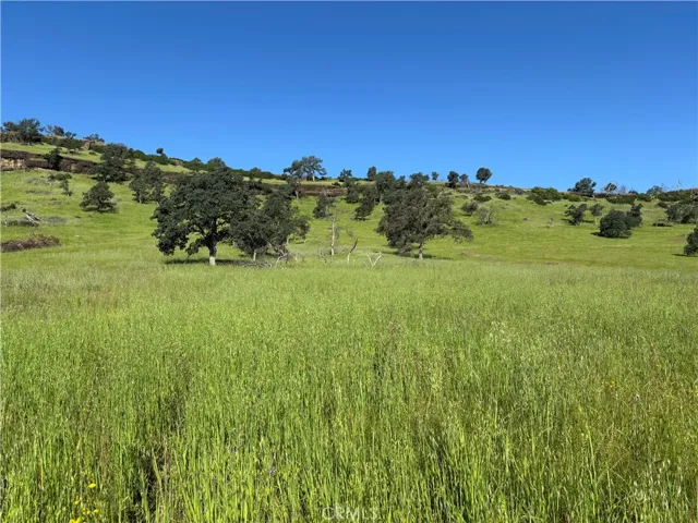 Lower Property and Views