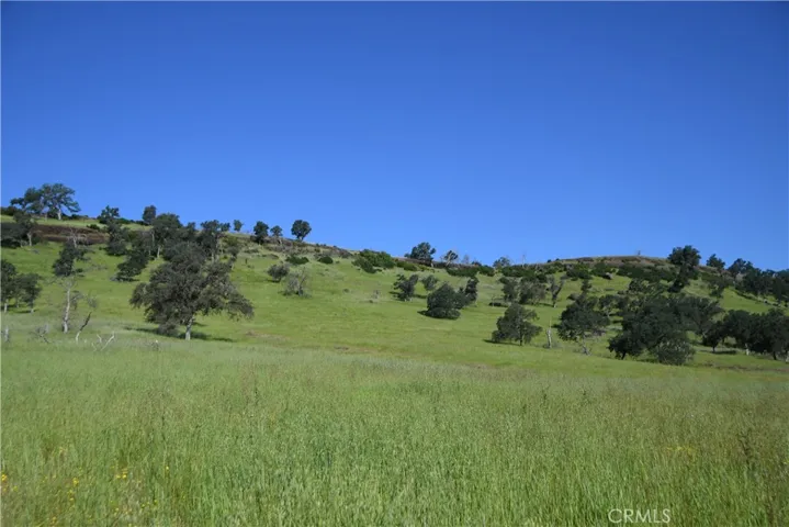 View of Bluff from lower portion of Property