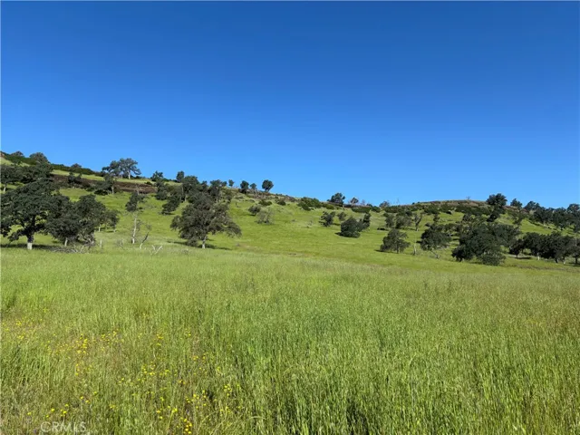 Lower Property and Views