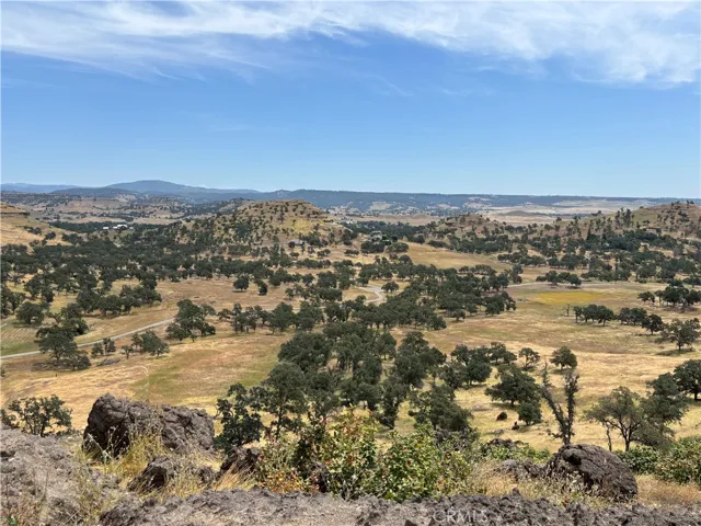 View from the Bluff