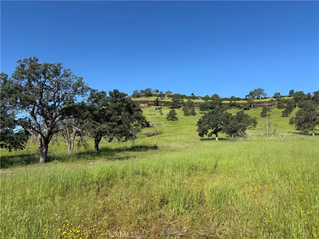 Lower Property and Views