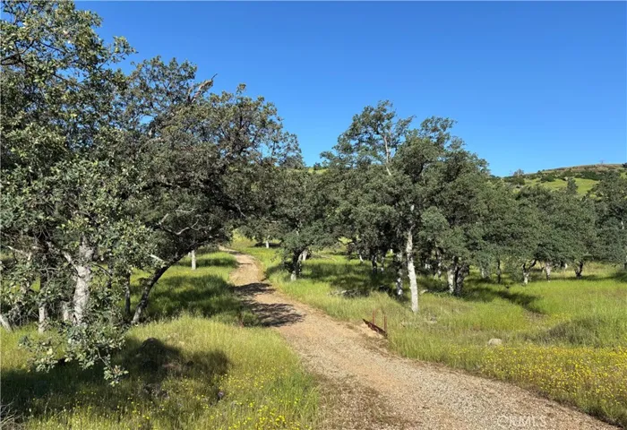 Potential Access from Cobble Creek to Property