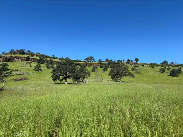 View of Bluff