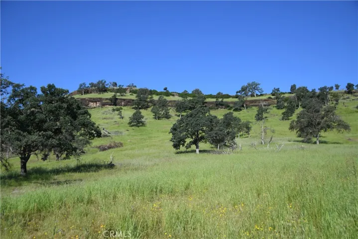View of Bluff from lower portion of Property