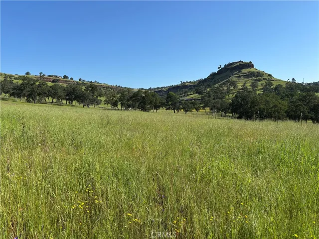 Lower Property and Views