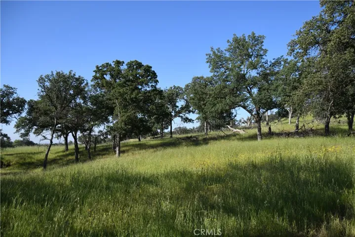 Oaks on Property