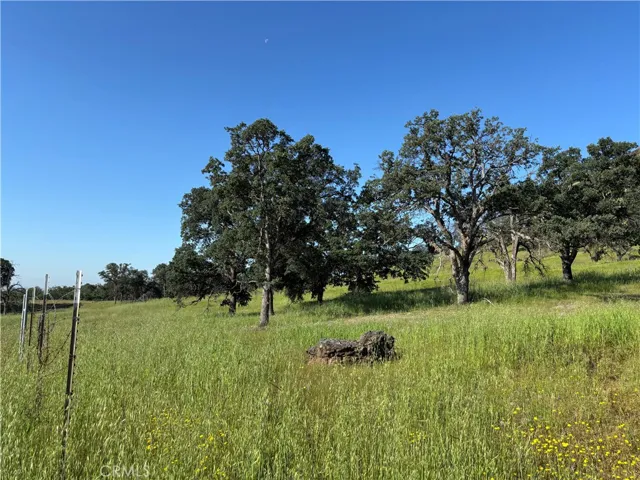 Lower Property and Views