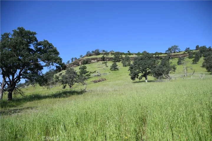 Lower Property and Views