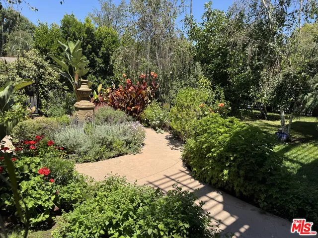 Front yard
