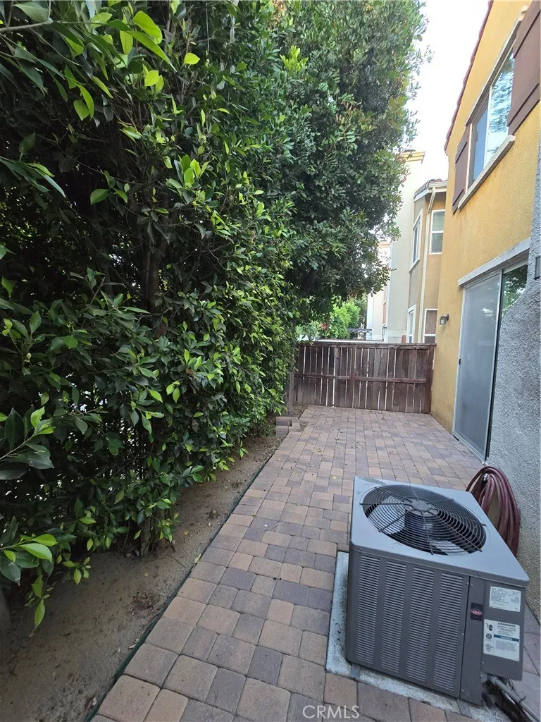 Patio Yard