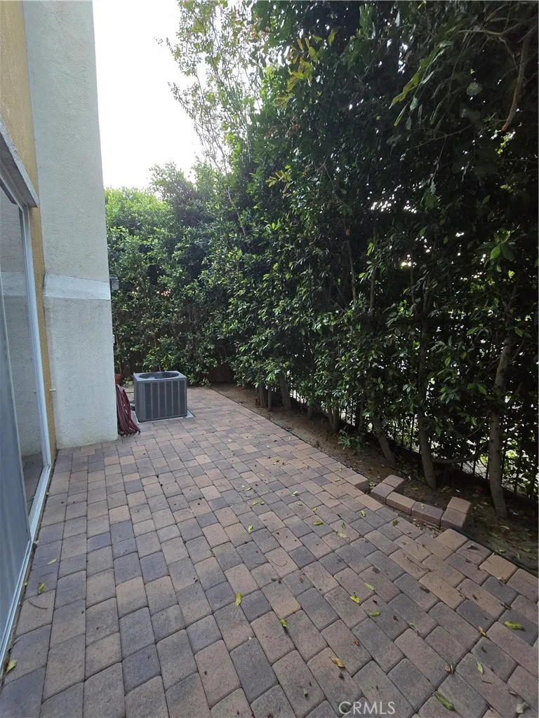 Patio Yard