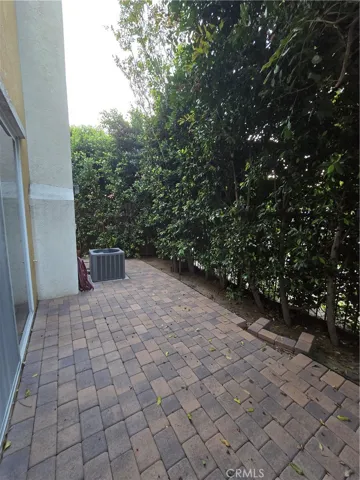 Patio Yard