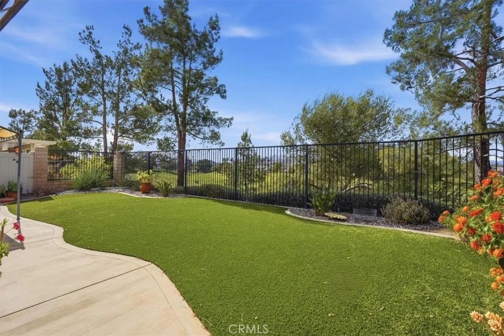 backyard turf & view