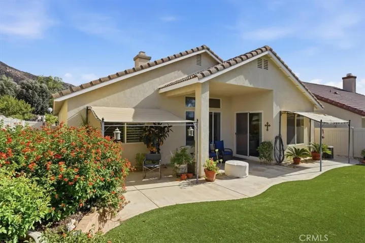 backyard turf