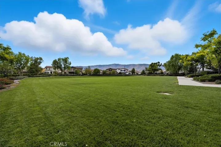 Community Clubhouse Grass Area