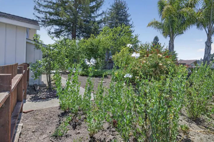 356 Chilverton Street, Santa Cruz, California 95062