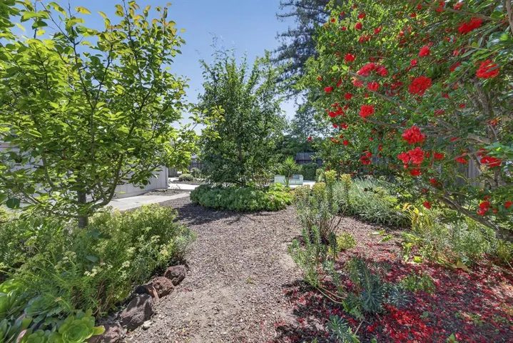356 Chilverton Street, Santa Cruz, California 95062