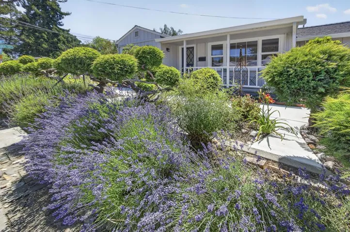 356 Chilverton Street, Santa Cruz, California 95062