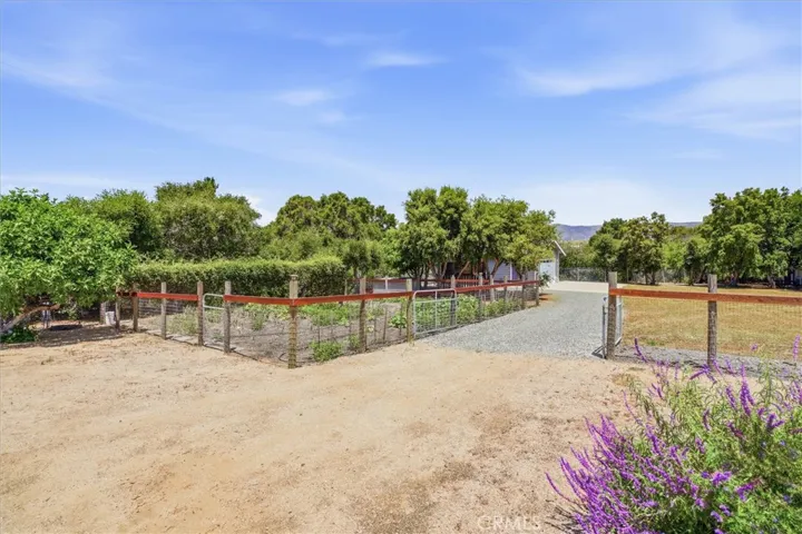 Fenced Garden