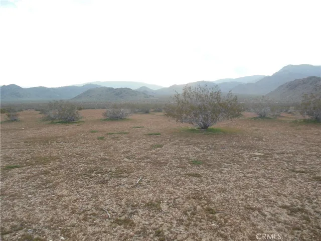 Lot view West