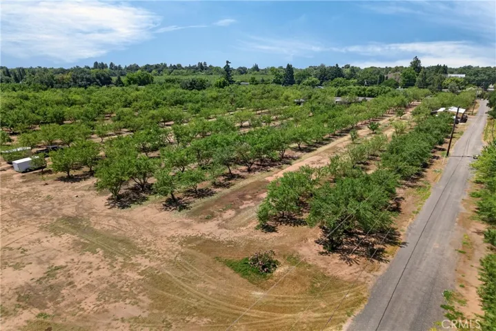 4.5 acre almond orchard