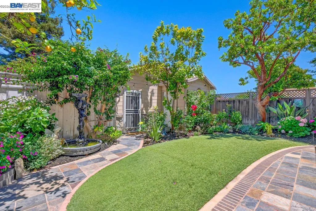 Main Backyard