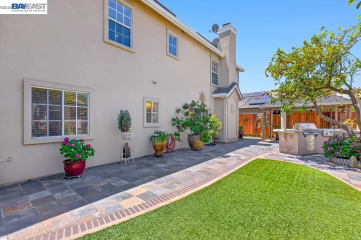 Main Backyard