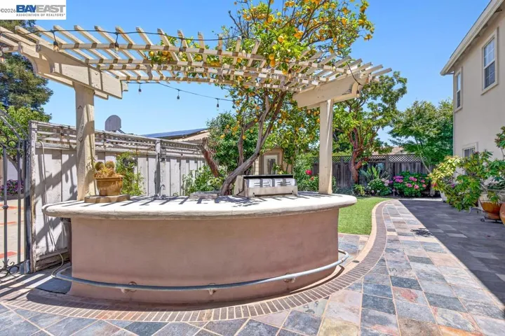 Main Backyard