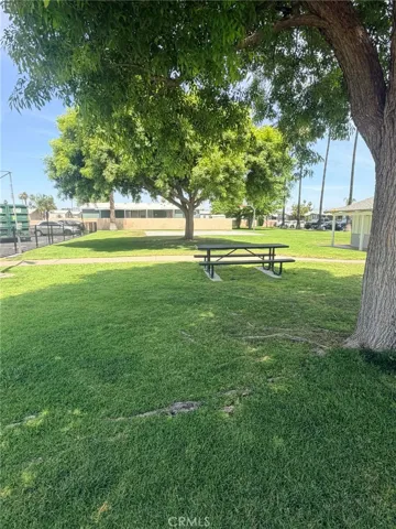 Community Park