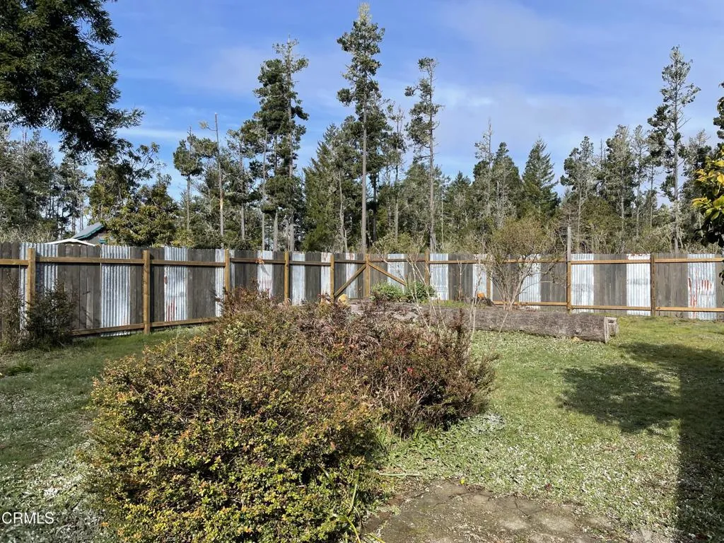 Yard