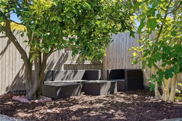 Side Yard