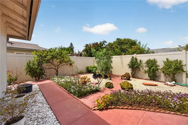 Back yard
