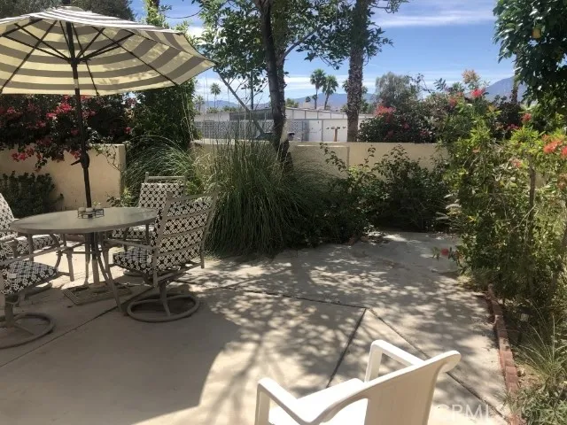 Back Patio